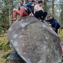 Zprávy o grantech ČHS v roce 2025